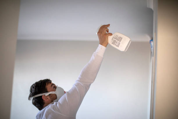 Best Residential Mold Removal  in Mcmechen, WV
