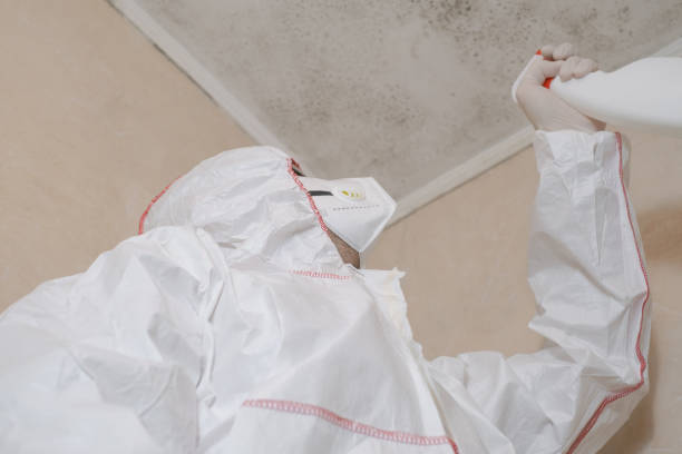 Best Mold Cleaning Services  in Mcmechen, WV